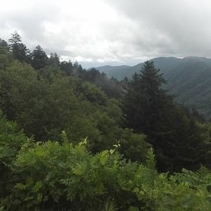 Meet your Posher, Tonyah